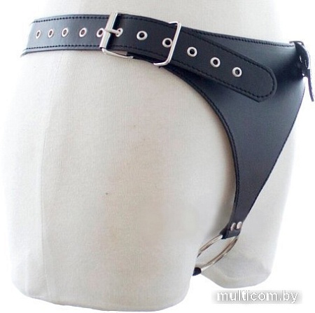 Трусы Kissexpo 322402030 (черный/серебристый)