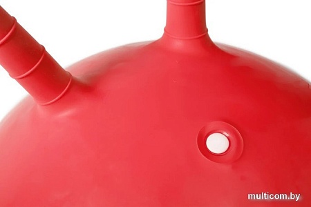 Гимнастический мяч Sundays Fitness IR97401B-55 (красный)