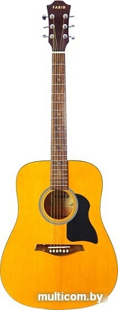 Акустическая гитара Fabio FW220 N