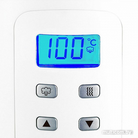 Чайник Russell Hobbs Precision Control (21150-70)