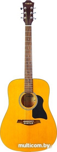 Акустическая гитара Fabio FW220 N
