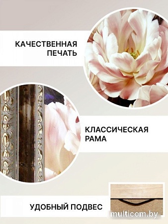 Декарт 8Л0284