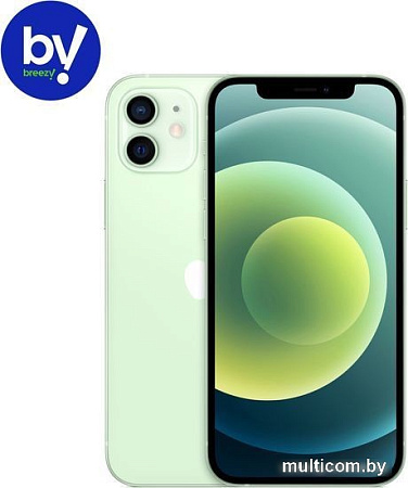 Смартфон Apple iPhone 12 64GB Восстановленный by Breezy, грейд C (зеленый)