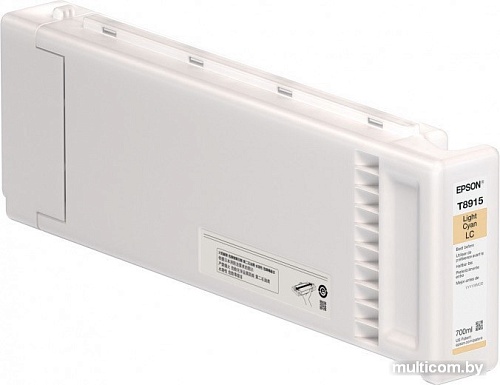 Картридж Epson C13T891500