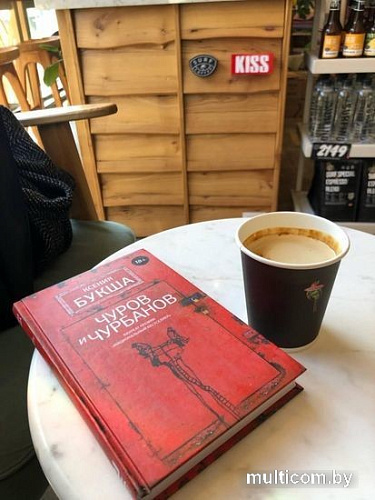 Книга издательства АСТ. Чуров и Чурбанов (Букша К.)