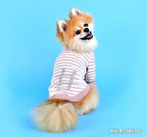 Свитер для животных Pinkaholic Hash NASD-TS7503-IP-M (розовый)