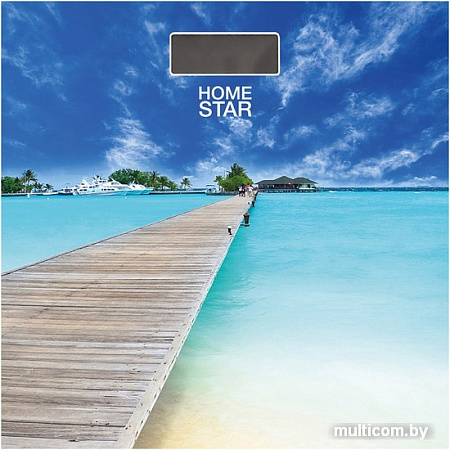 Напольные весы HomeStar HS-6001R