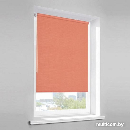 Рулонные шторы Lm Decor Лайт LM 30-12С 160x170