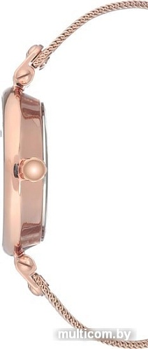 Наручные часы Anne Klein 3000BYRG