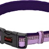 Ошейник Halti Collar M (фиолетовый)