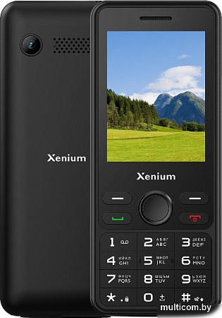 Телефон Xenium X280 (черный)