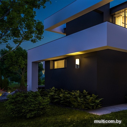 Уличный настенный светильник ESCADA 30004W/01 (темно-серый)