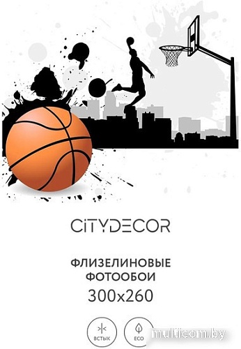 Фотообои Citydecor Детская 390 300x260