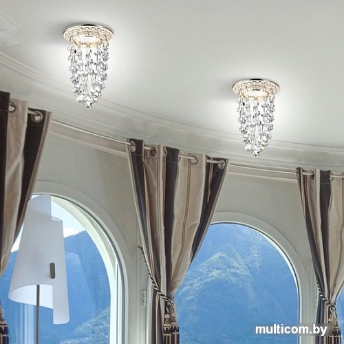 Novotech Grape 369991