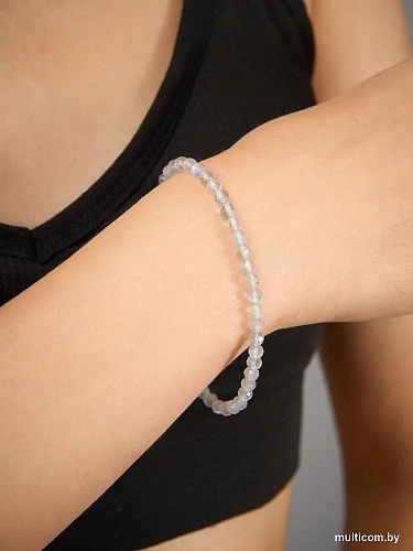 Wolves Лабрадор 5404