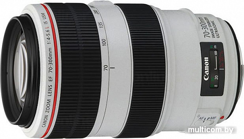 Объектив Canon EF 70-300mm f/4-5.6L IS USM