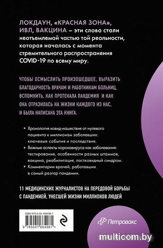 Книга издательства Эксмо. Эффект матового стекла (Дорофеев В.Ю.)
