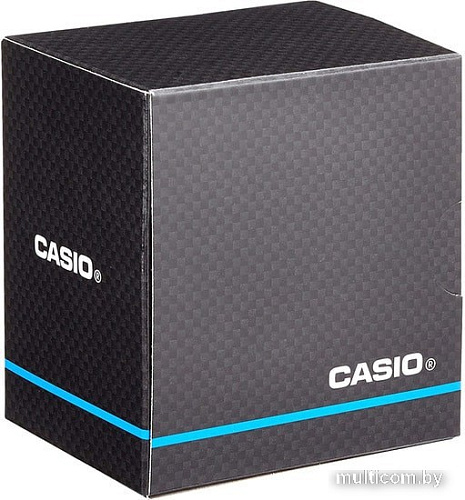 Наручные часы Casio W-218H-2A