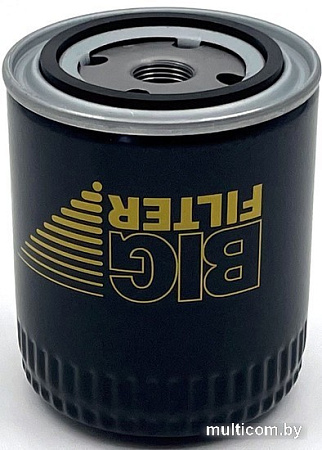 BIG Filter Spin-on GB-1091