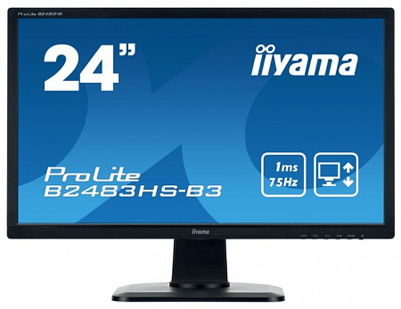 Монитор Iiyama ProLite B2483HS-3