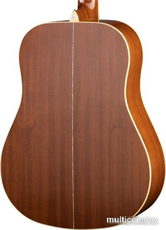 Акустическая гитара Naranda DG303NA
