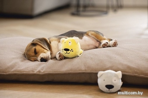 Игрушка для собак Beeztees Puppy 619143 (цвет в ассортименте)