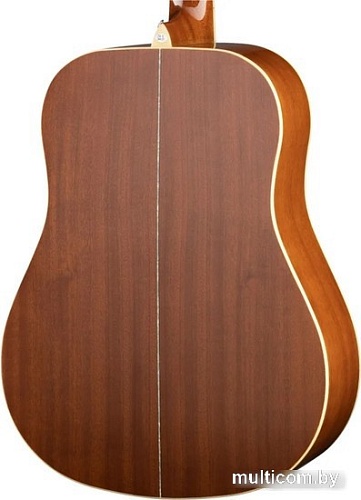 Акустическая гитара Naranda DG303NA