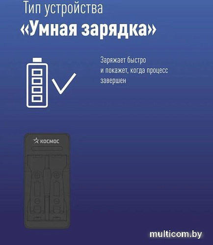 Зарядное устройство КОСМОС KOC901USB