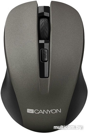 Мышь Canyon CNE-CMSW1G