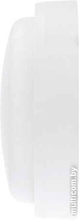 Уличный настенный светильник Rexant 607-207