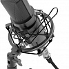 Микрофон Ritmix RDM-175
