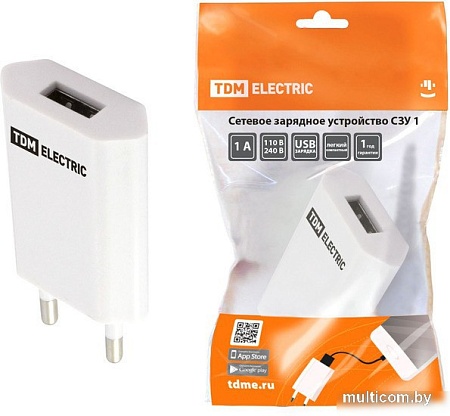 Сетевое зарядное TDM Electric SQ1810-0001