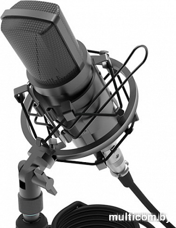 Микрофон Ritmix RDM-175