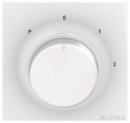 Стационарный блендер Philips HR2100/00
