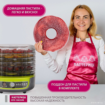 Мастерица EFD-1003VM