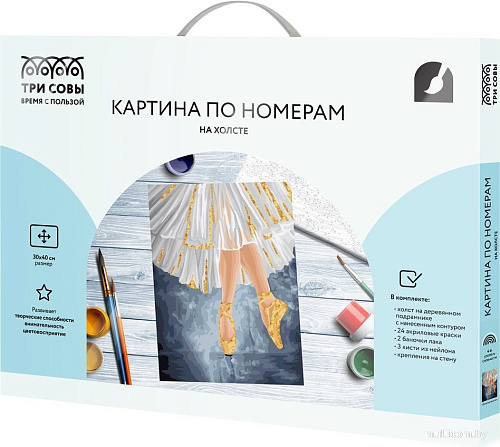 Три совы Золотые пуанты КХ3040_30003