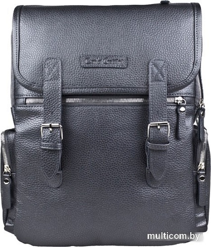 Городской рюкзак Carlo Gattini Premium Santerno 3007-55 (железно-серый)