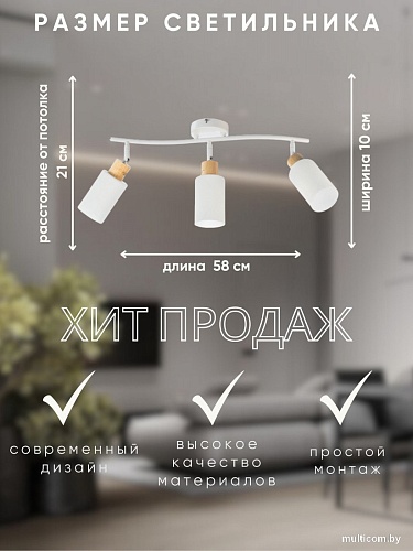 Спот Aitin Pro НПБ 02-3x40-102 DA6127/3 (белый/дерево)