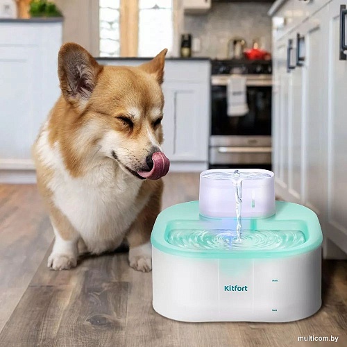 Фонтанчик Kitfort KT-6365