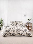 Windslow Аврора Евро 50x70 20119-1+71141-10