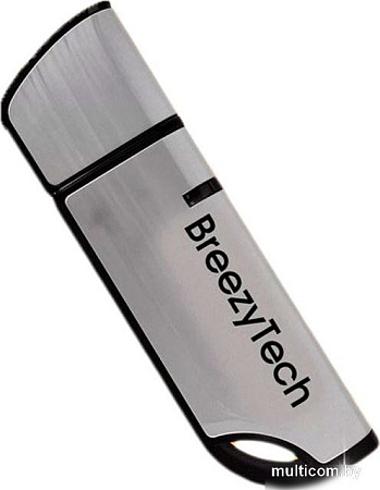 USB Flash BreezyTech U012 32GB (серебристый/черный)