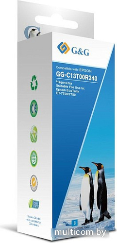 Чернила G&G GG-C13T00R240