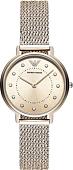 Наручные часы Emporio Armani AR11129