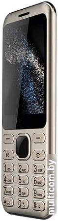 Мобильный телефон Nobby 320 (золотистый)