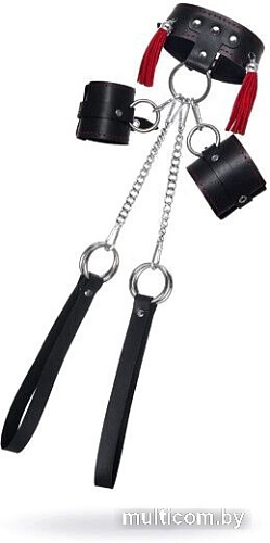 Наборы для фиксации Pecado 1511