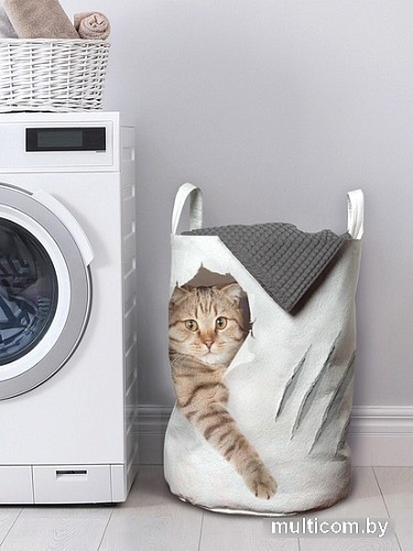 Корзина JoyArty Кот с царапиной gaba_31202
