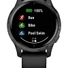 Умные часы Garmin Venu (черный/серый)