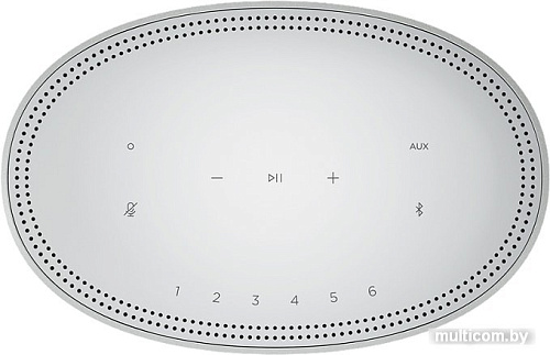 Bose Home Speaker 500 (серебристый)