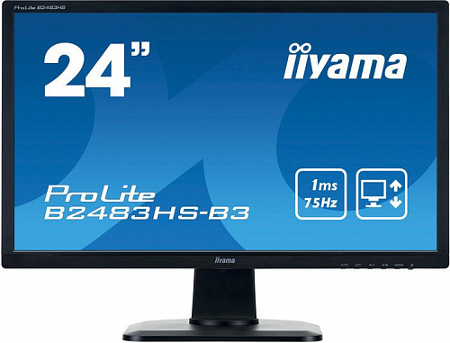 Монитор Iiyama ProLite B2483HS-B3