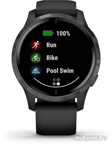 Умные часы Garmin Venu (черный/серый)